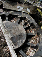 Remains of Wood Patterns